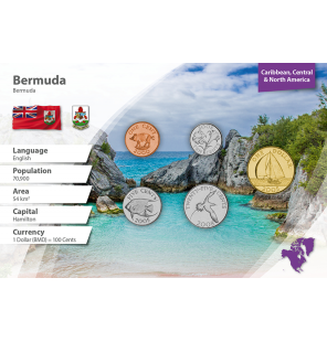 Bermudas 1, 5, 10, 25...