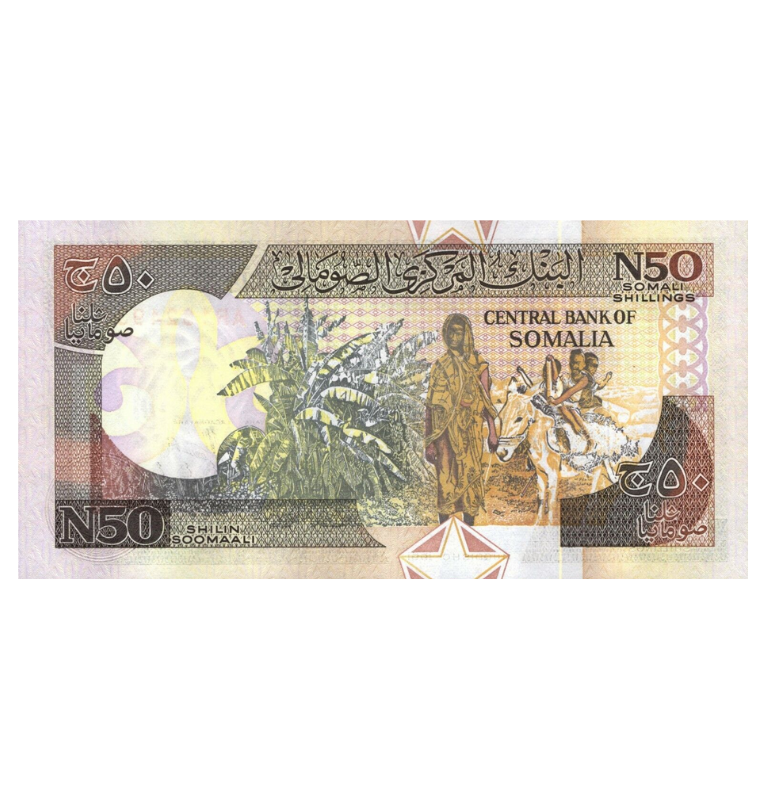 Somalia 50 Shillings 1991 Pick R.2