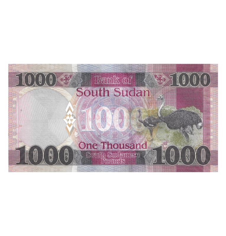 Sudan del Sur 1.000 Libras 2021 Pick 17b