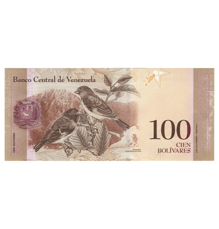 Venezuela 100 Bolívares 2013 Pick 93