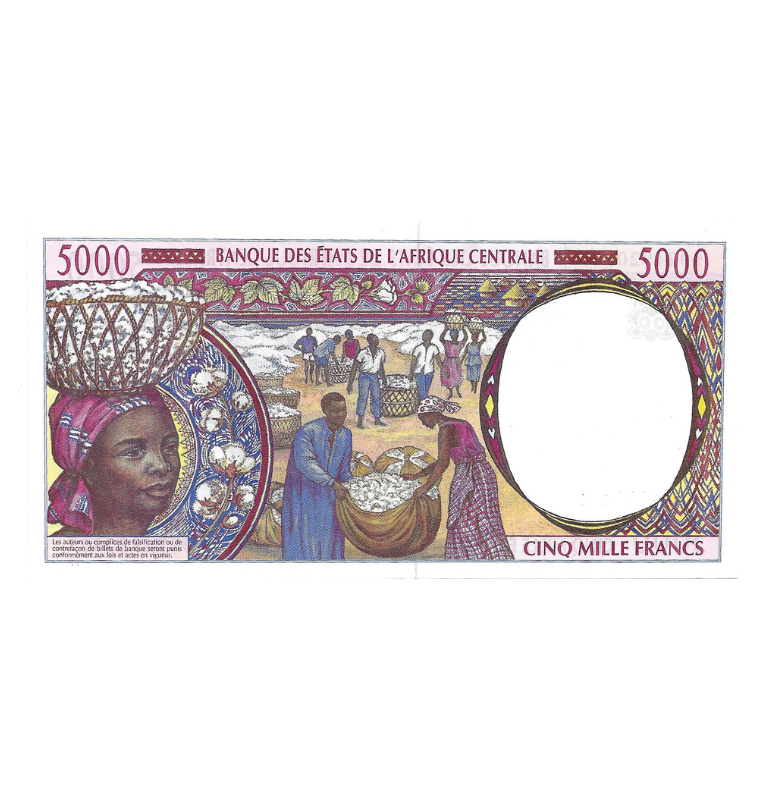 República Chad 5.000 Francos 1999 Pick 604Pe