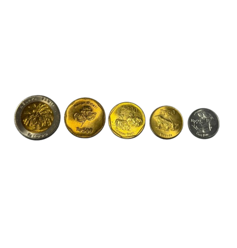 Set de Indonesia 25,50,100,500, 1000 Rupias KM 55,52,53,54,56 1991-2000 (No UNC)