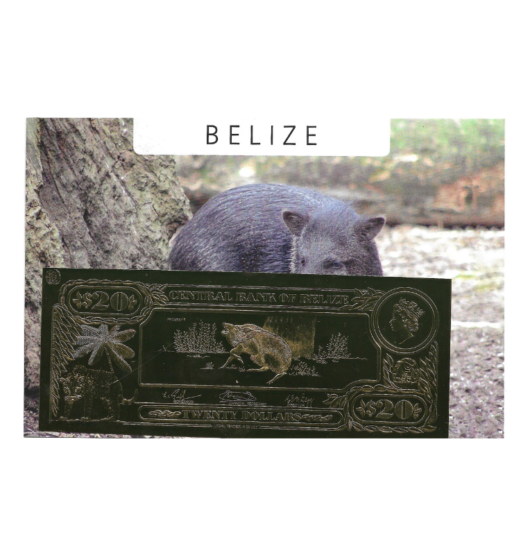 Belice 20 Dólares 1984 ND (Laminados en Oro) Serial 4 dígitos