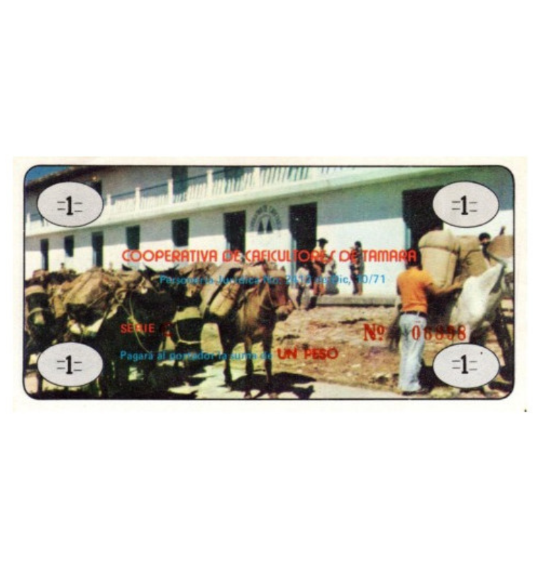 Primera organización campesina al servicio de Tamara y Casanare