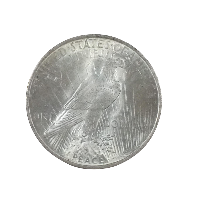 United States of America 1 Dollar 1922-1923 Km 150 (No UNC)