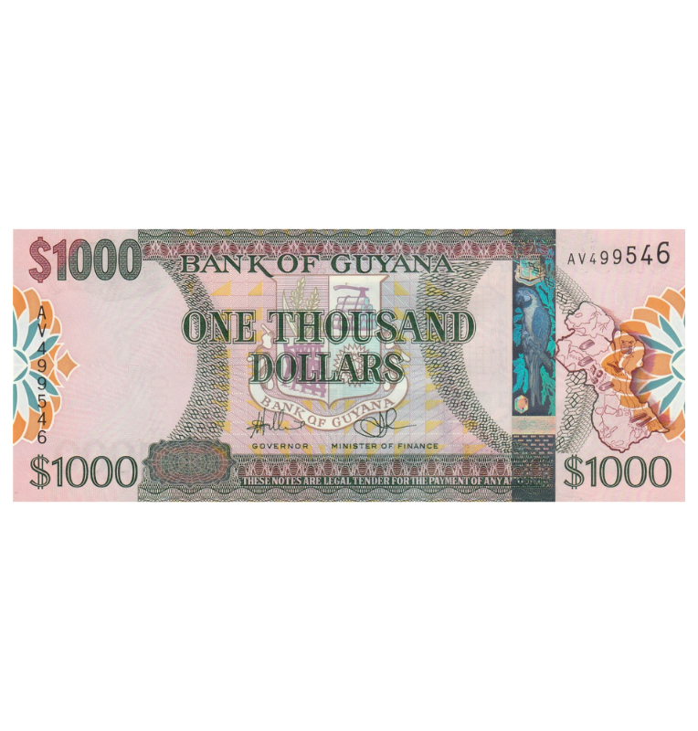 Guayana 1.000 Dólares 2011 ND Pick 38b