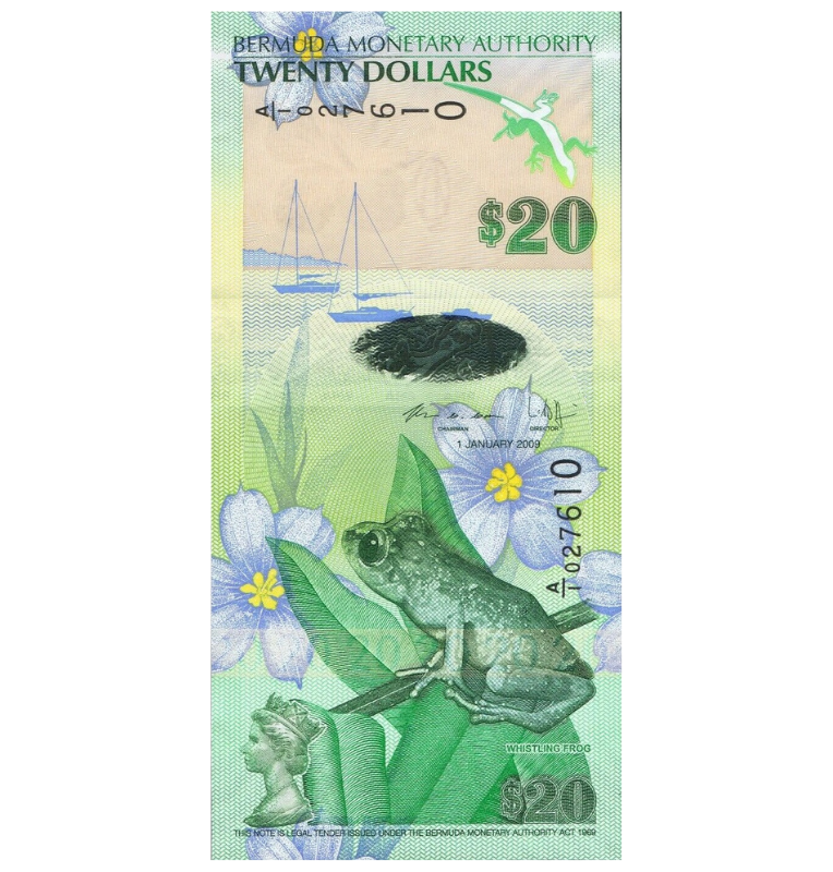 Bermudas 20 Dólares 2009 Pick 60b (Híbrido)