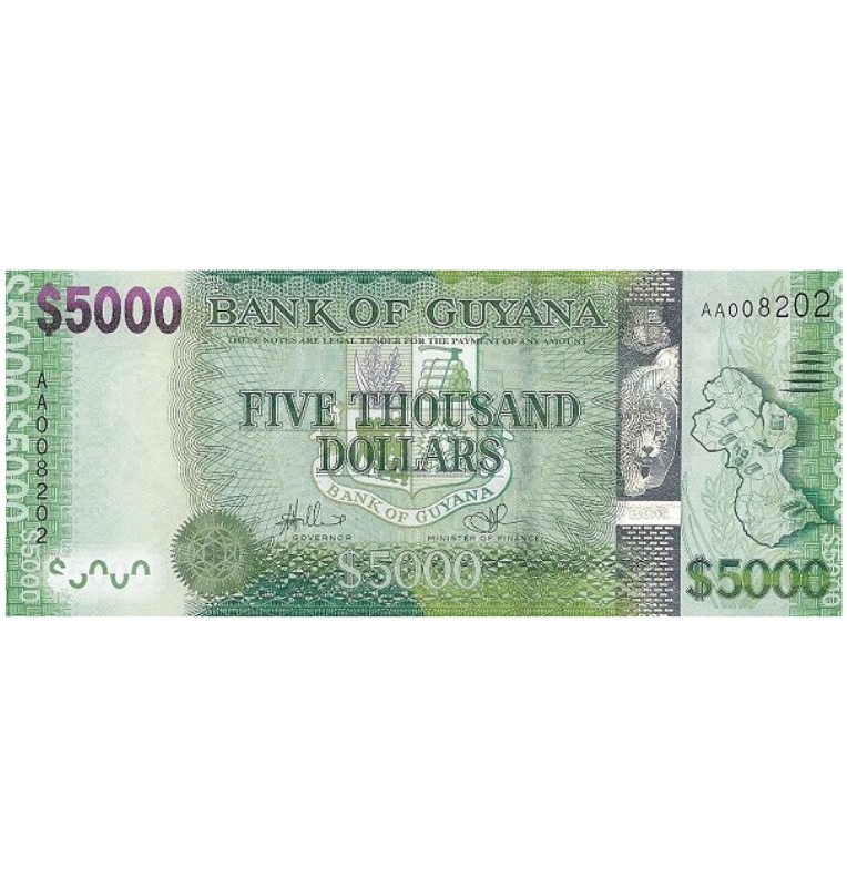 Guyana 5.000 Dólares 2013 ND Pick 40a