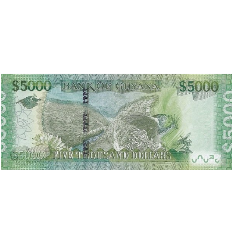 Guyana 5.000 Dólares 2013 ND Pick 40a