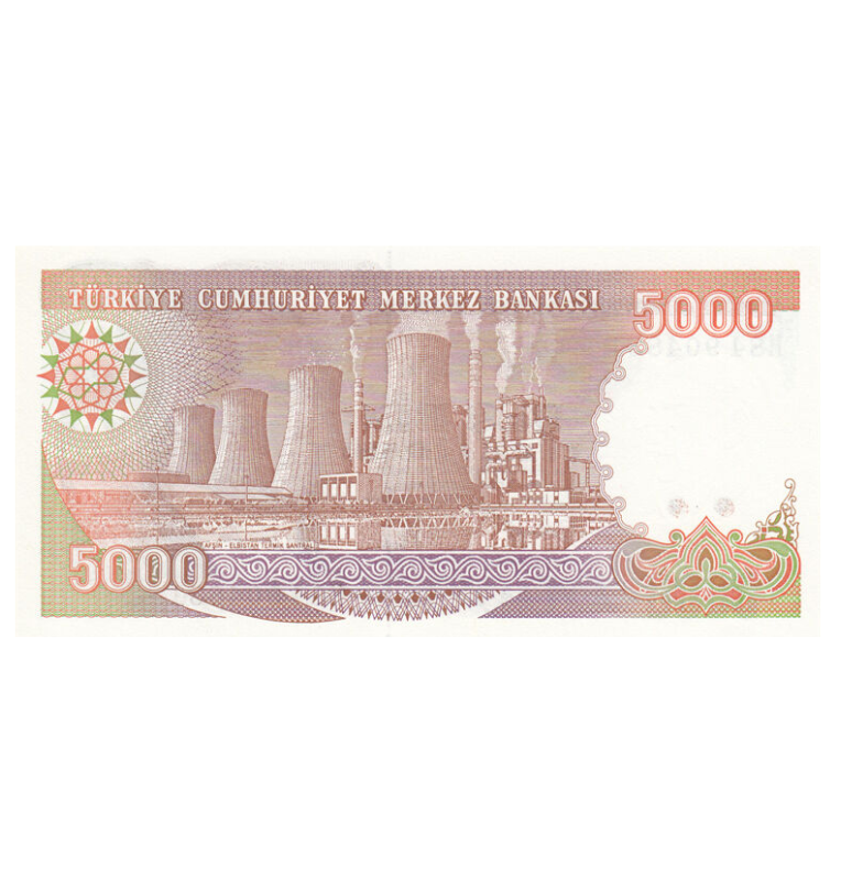 Turquía 5.000 Liras 1979 Pick 198