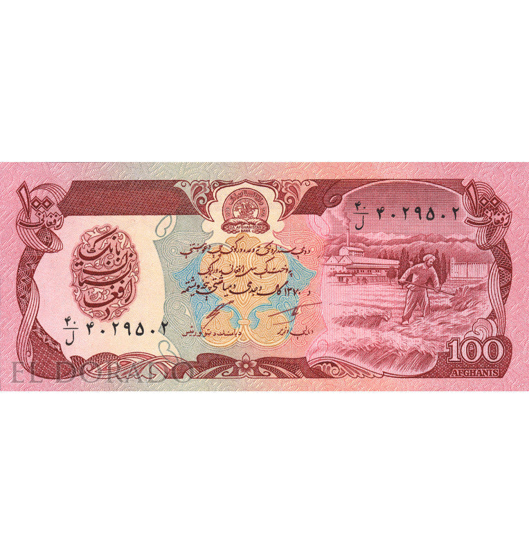 Afghanistan 100 Afghanis 1991 Pick 58c