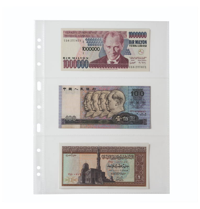 Hojas de plástico grande easy, 3 bolsas transvers. billetes banco, pp, claro, paq. de 50