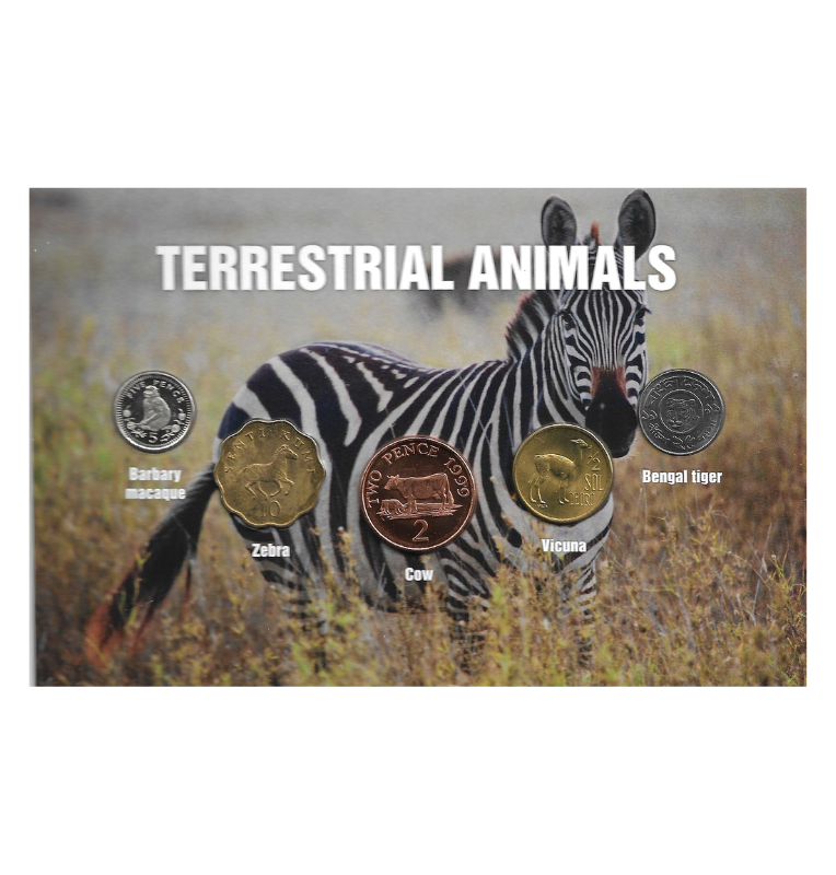 Sur Africa blíster de animales terrestres