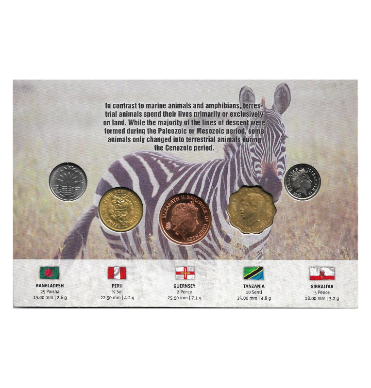 Sur Africa blíster de animales terrestres