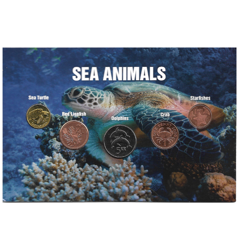 Blíster animales marinos