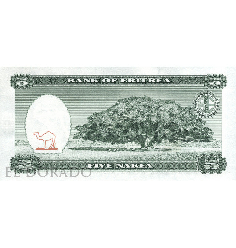 Eritrea 5 Nakfa 1997 Pick 2