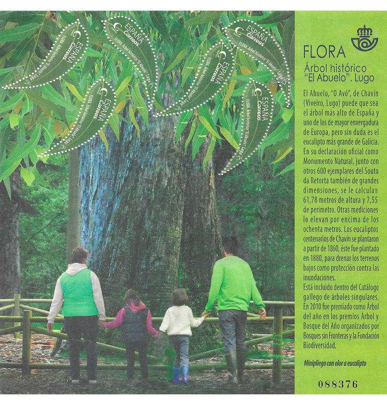 Spain Post Office. Flora Stamp Historic Tree "Grandfather" Lugo