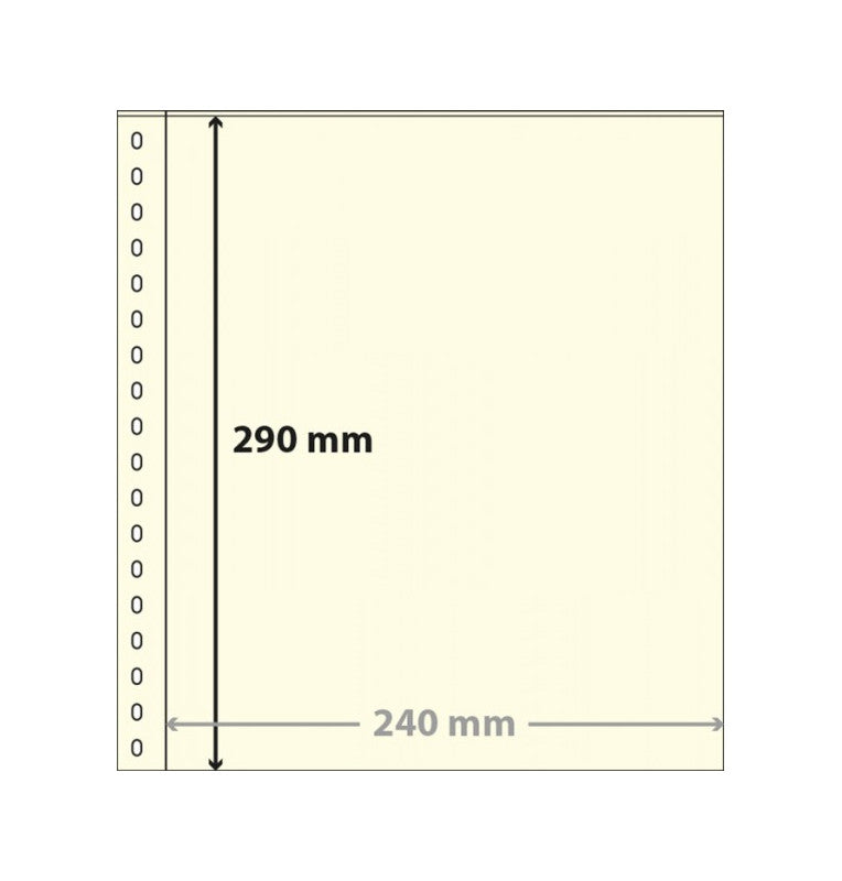 Linder clear pouch with one pocket (240 x 290 mm) with white separator sheet. Pack of 10.