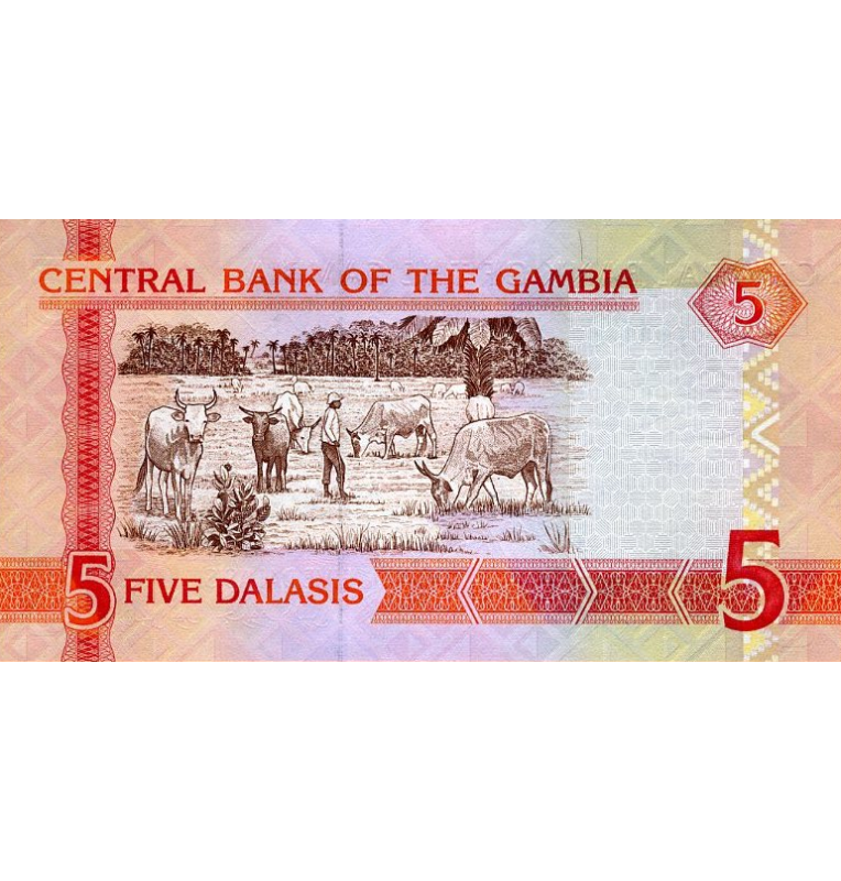 Gambia 5 Dalasis 2006 ND Pick 25c