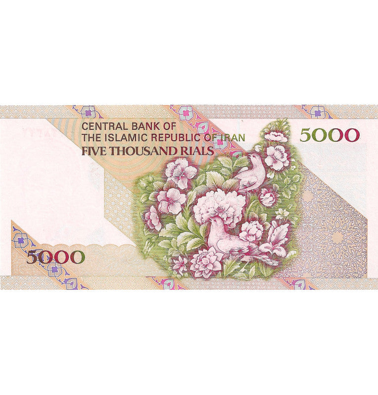 Irán 5.000 Riales 1993 ND Pick 145e