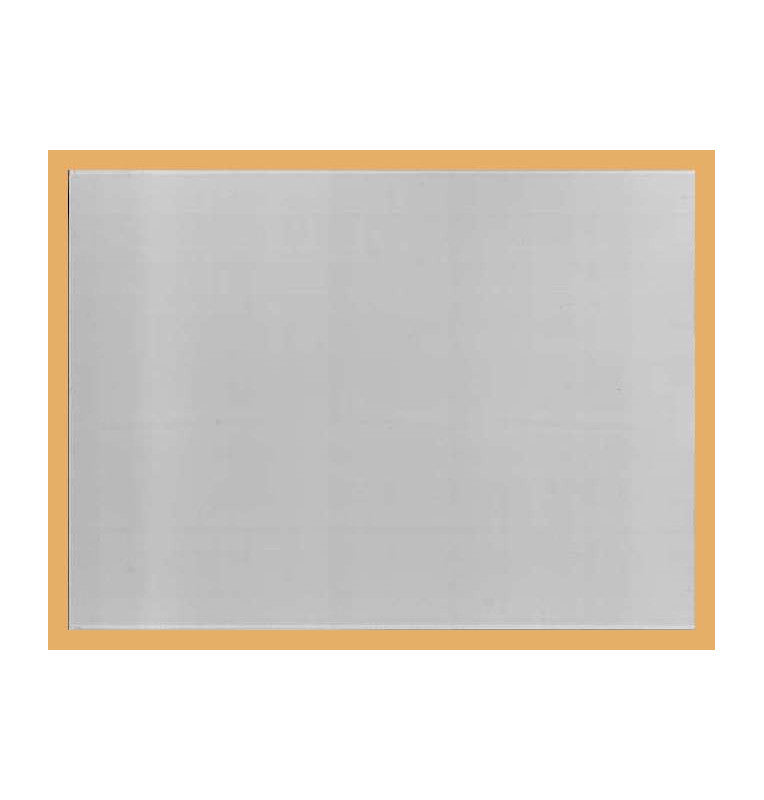 Kobra Banknote Protector 148 x 210 mm (100-pack)