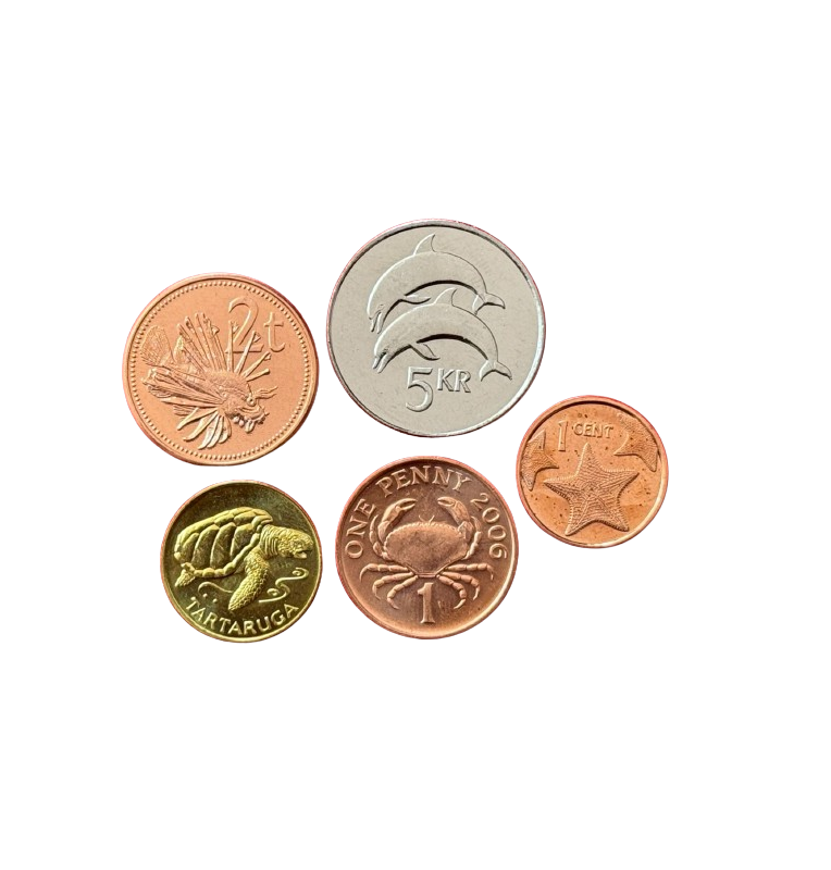 Set de 5 Animales Marinos