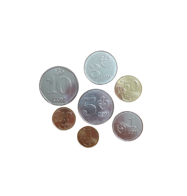 Kyrgyzstan set of 7 coins 1, 10, 50 Tyiyn 1, 3, 5, 10 Som 2008-2009
