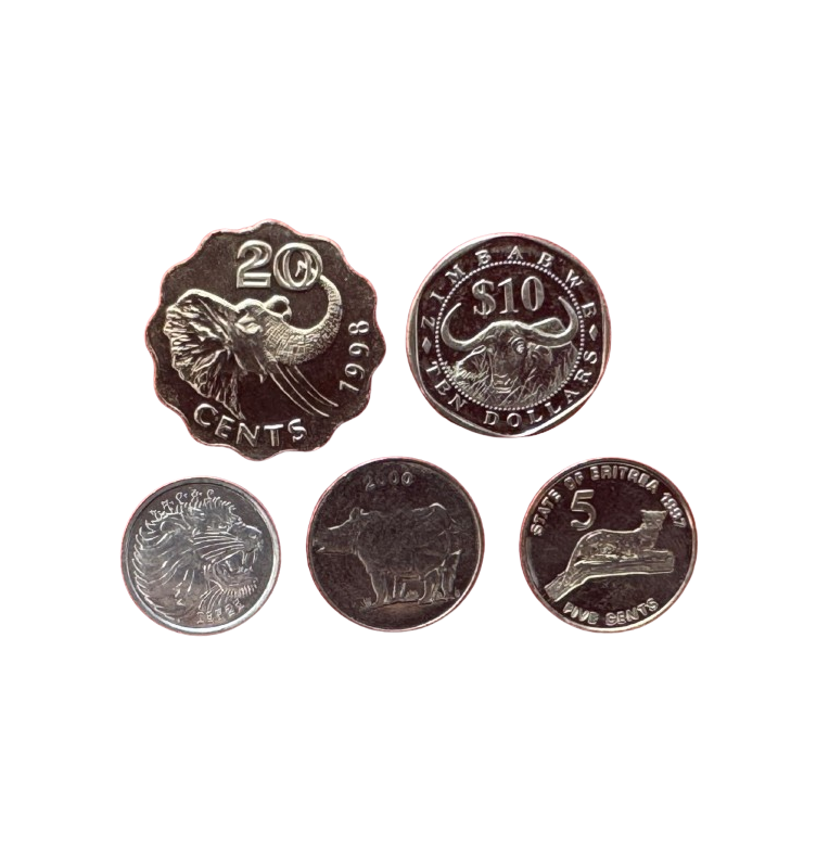 Set de los 5 grandes